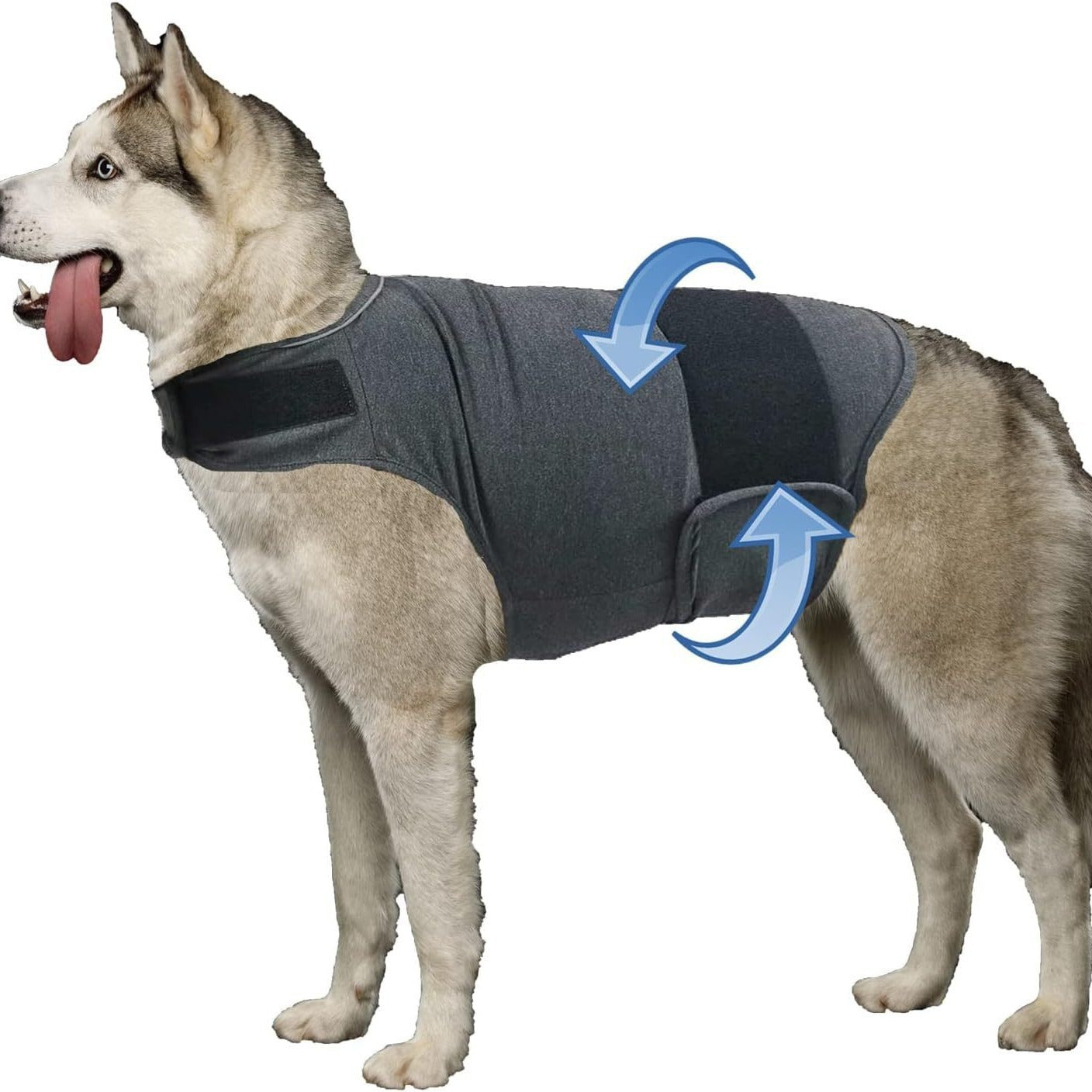 Anxiety Soothing Dog Vest