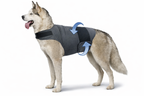 Anxiety Soothing Dog Vest